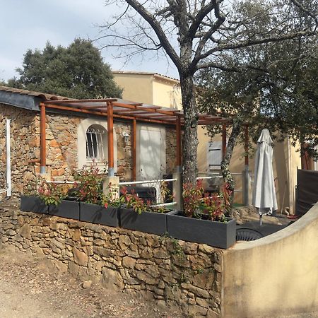 Votre Cocon En Pierre Et Son Spa En Option Gite Le Repos Des Chenes Régusse Esterno foto